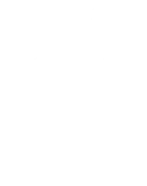 Gravure botanique : rameau fleuri, trait blanc
